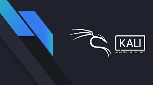 Kali DDoS是什么意思？