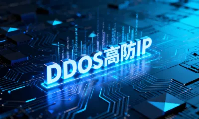 DDoS高防IP是什么意思？