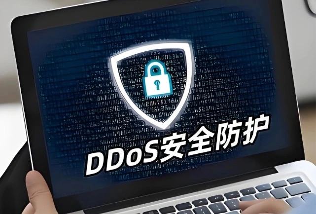 DDoS防御手段有哪些？