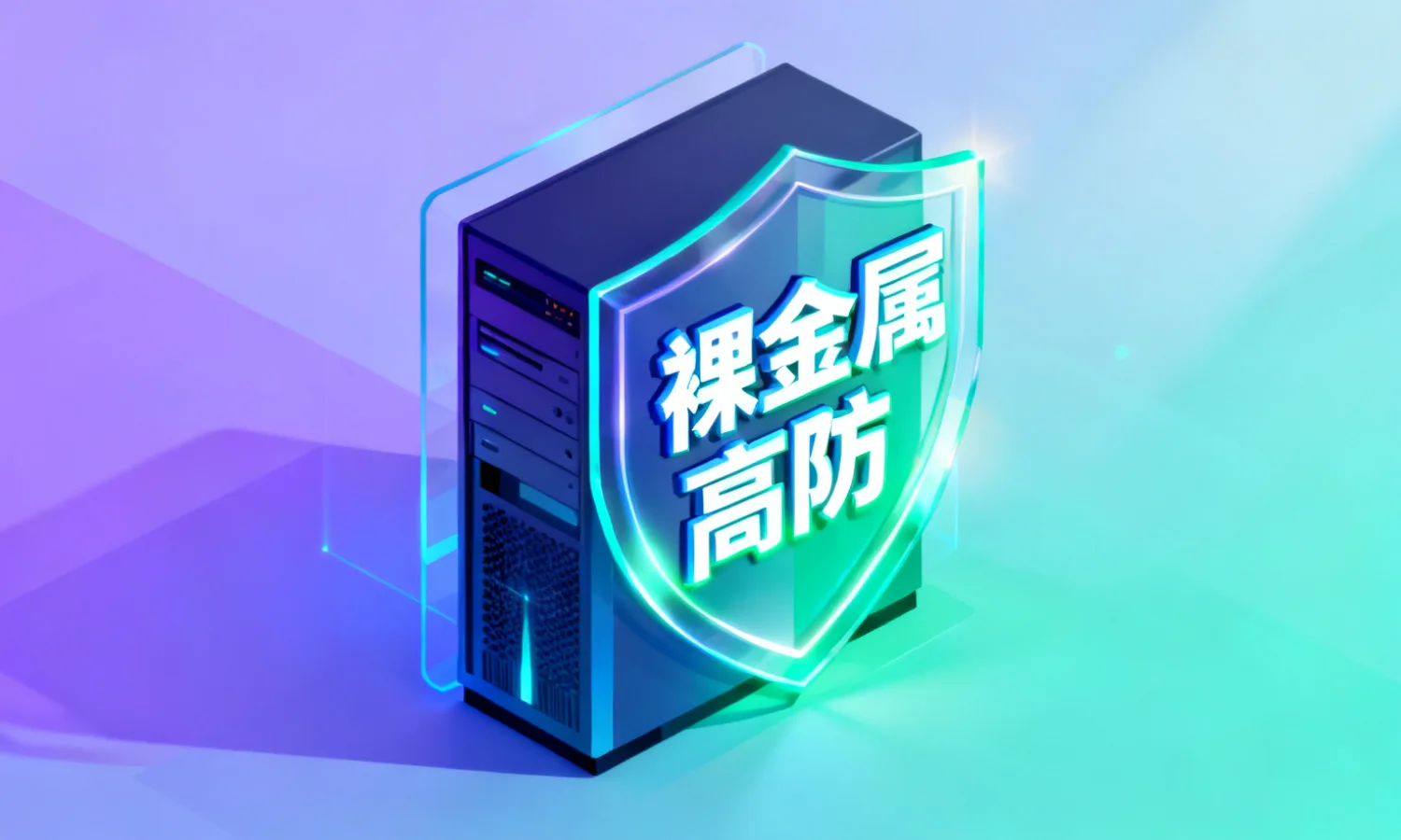 裸金属高防