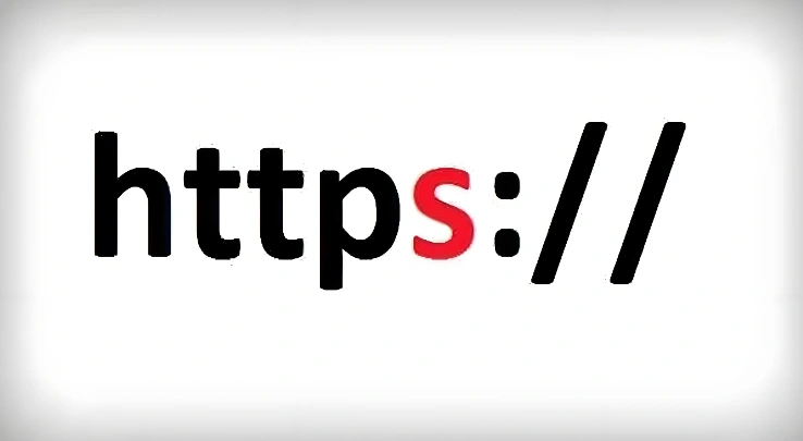 HTTPS洪水